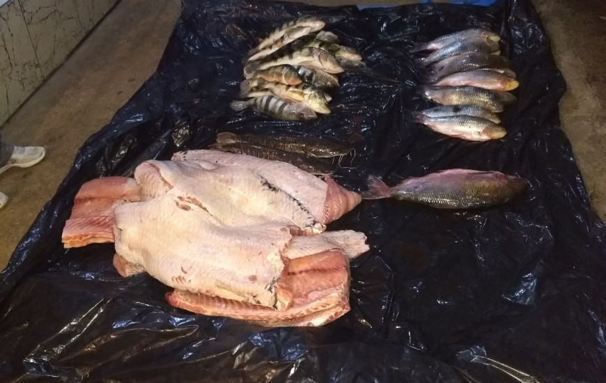 Pescado estava embalado em uma lona na carroceria de um carro