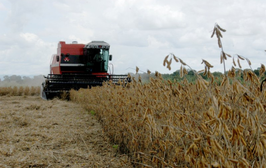 Soja continua sendo principal produto
