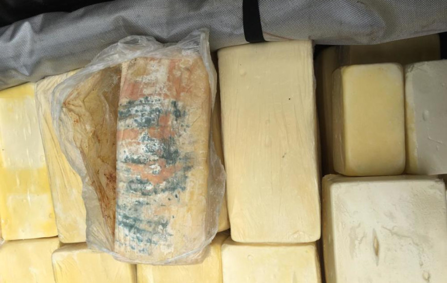 A operação ocorreu após uma denúncia anônima