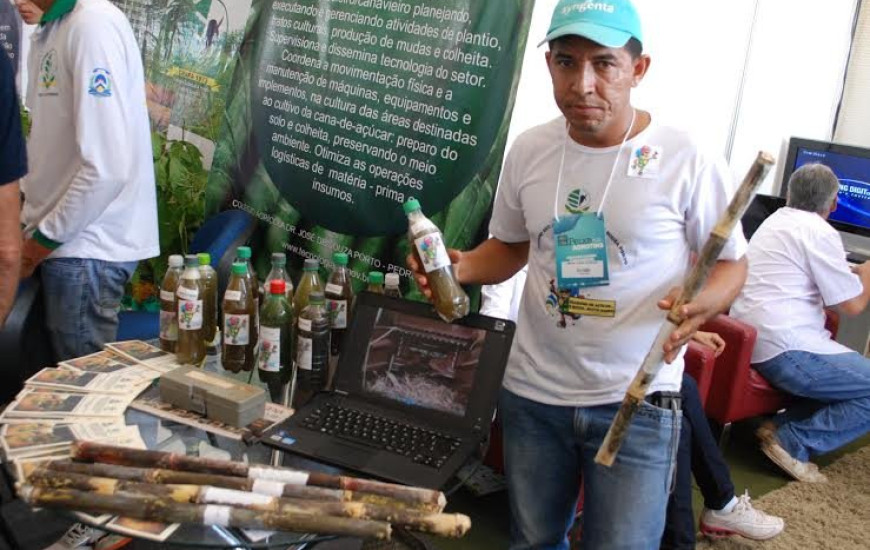 Alunos aprendem sobre produção da cana deaçúcar