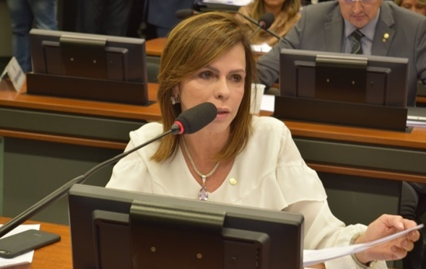 Dorinha apresenta projeto para tentar barrar aumento