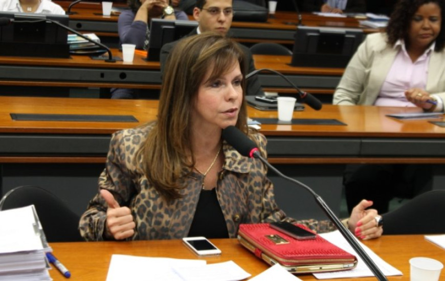 Deputada Federal Prof. Dorinha