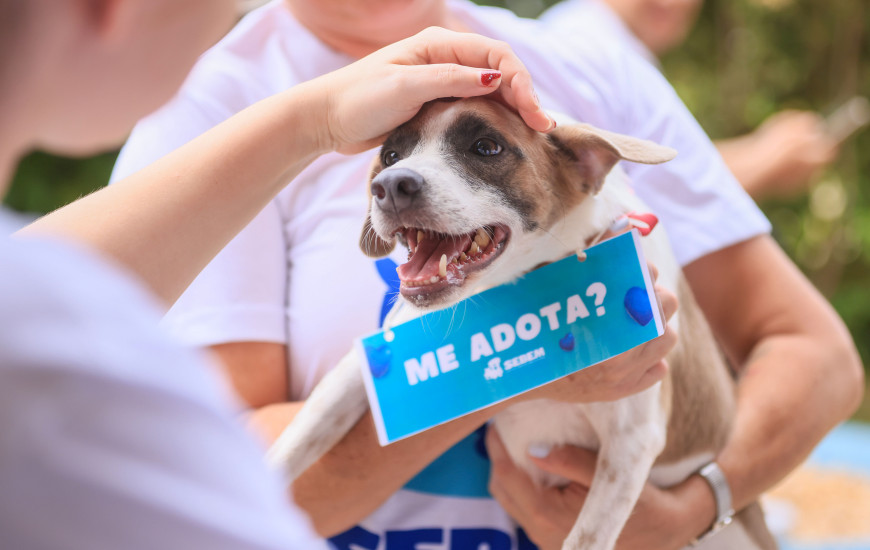 O Bailim do Capim começa a partir das 15h no Capim Dourado Shopping