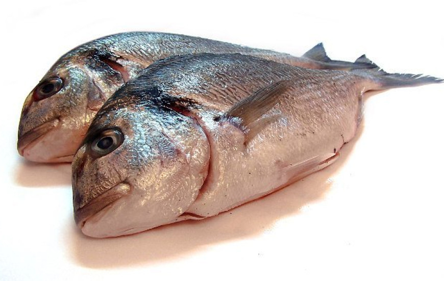 Ação foi motivada por 5 kg de pescado