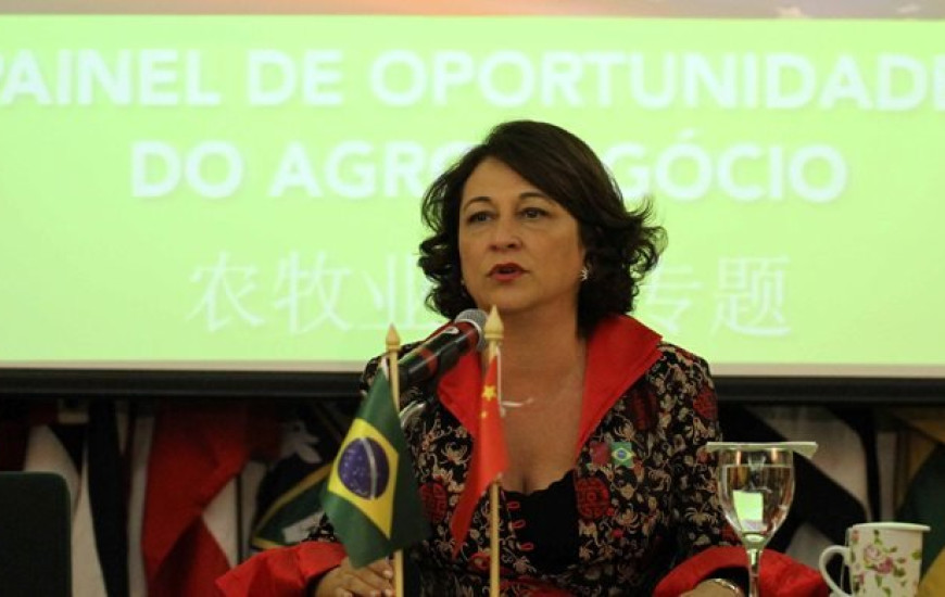 Senadora Kátia Abreu