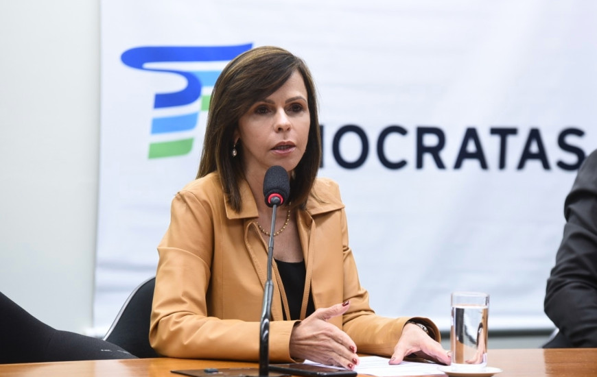 A deputada Professora Dorinha comemorou a aprovação do Projeto