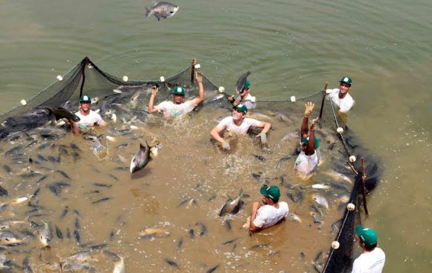 Reunião com produtores de Palmas e entorno