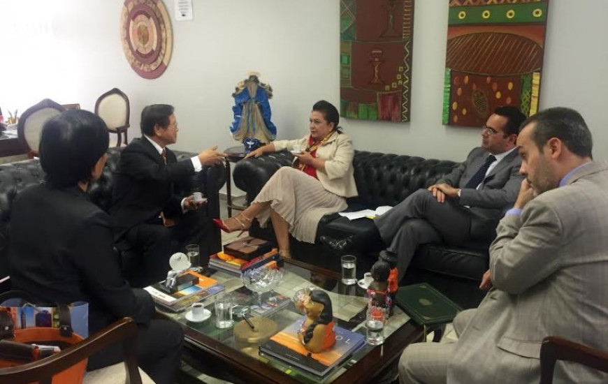 Senadora recebe embaixador em Brasília