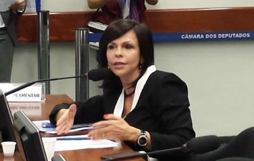 Dorinha apresenta PL na Câmara