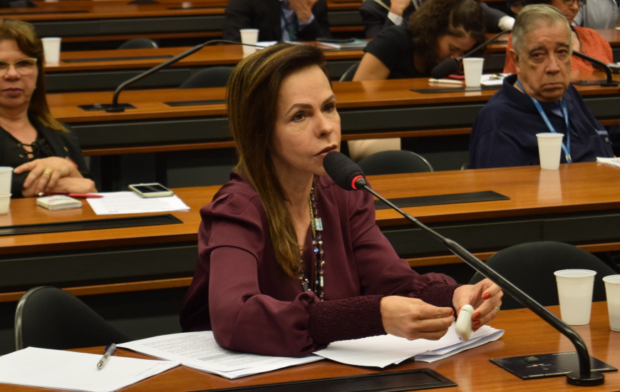 PL de Dorinha foi aprovado hoje