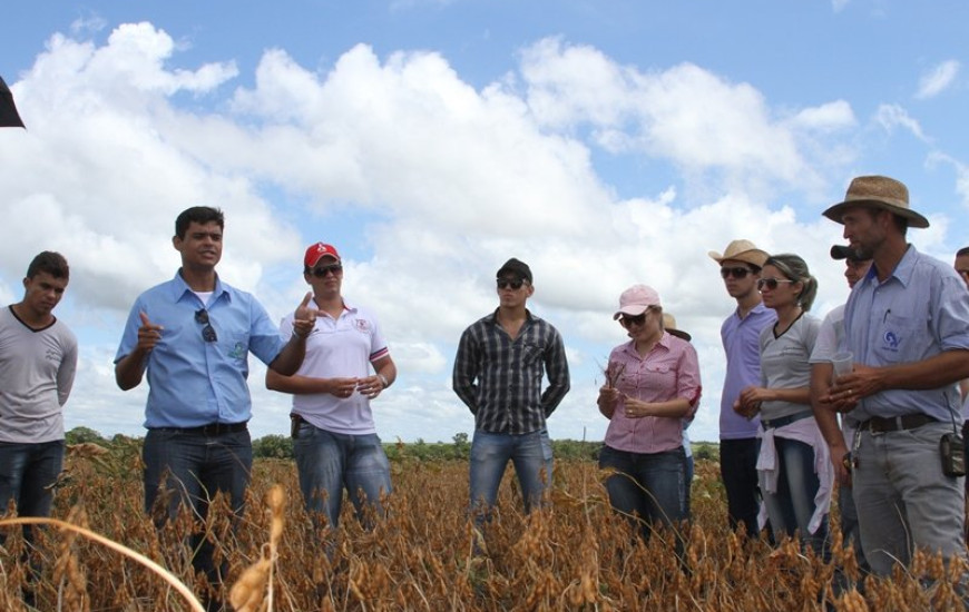 A atividade na fazenda acontece durante todo o dia
