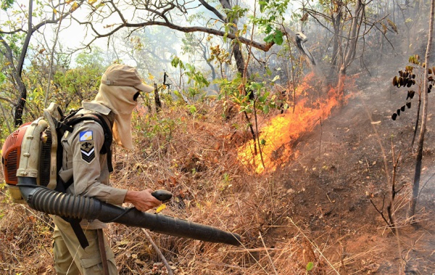 Bombeiro militar combate fogo na Serra do Lajeado.