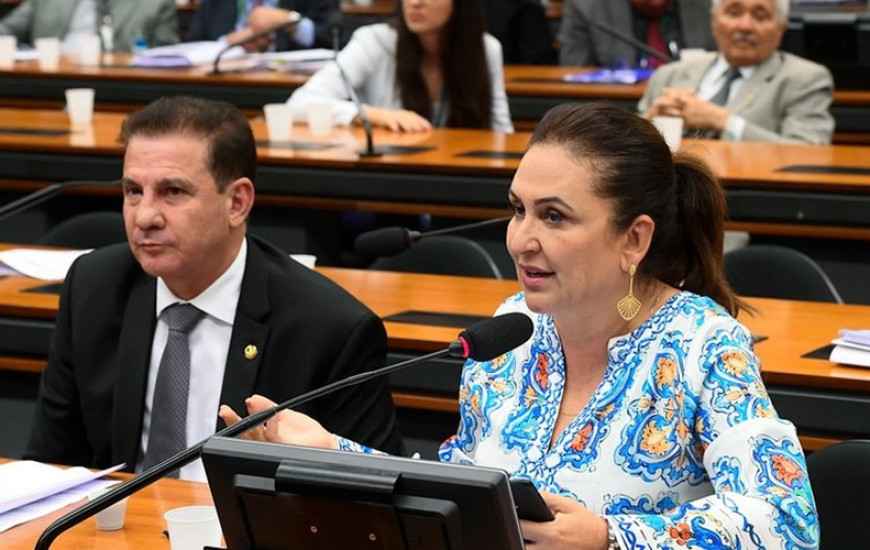 Senadora na Comissão Mista do Orçamento (CMO) 