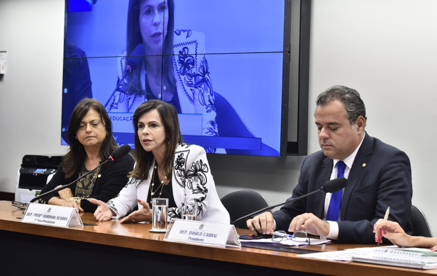 Dorinha articulou tramitação de projeto na Comissão de Educação