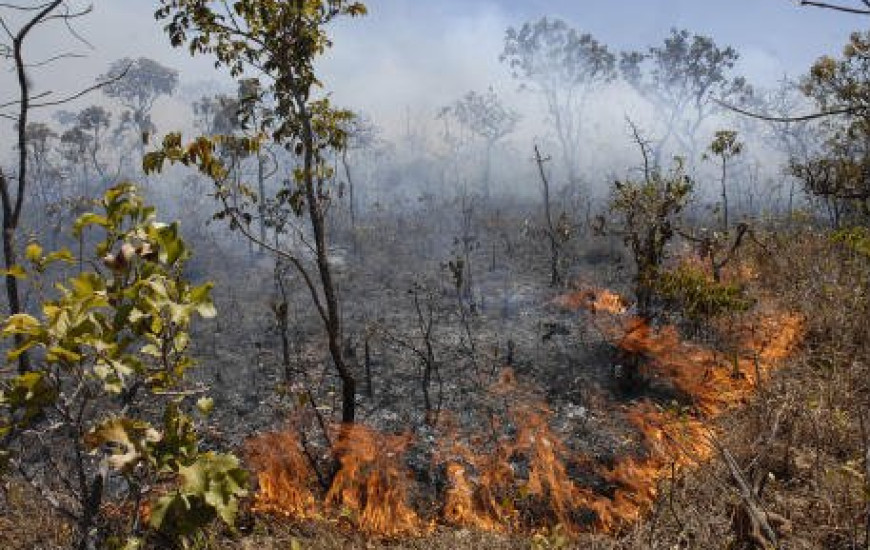 Pacqto integra Brigada de Comunicação