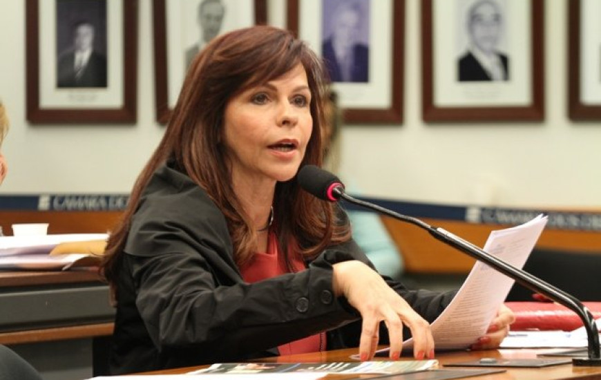 Deputada federal Professora Dorinha