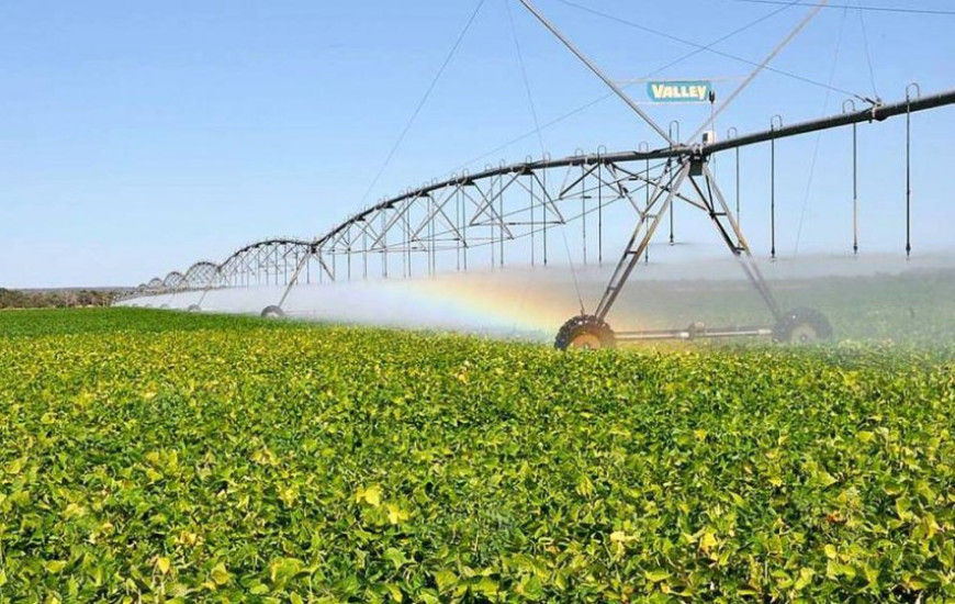 Agricultura do Tocantins