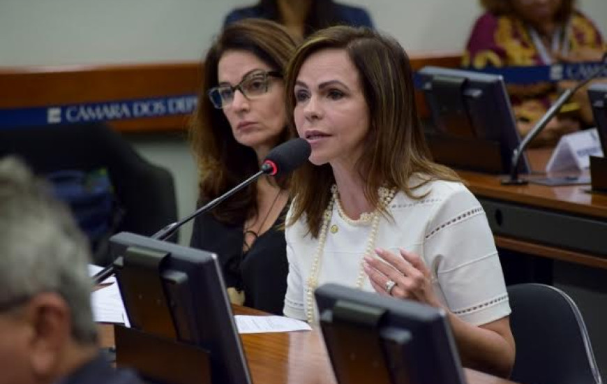 Dorinha confirma liberação de recursos 