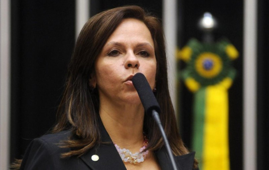 Deputada Professora Dorinha