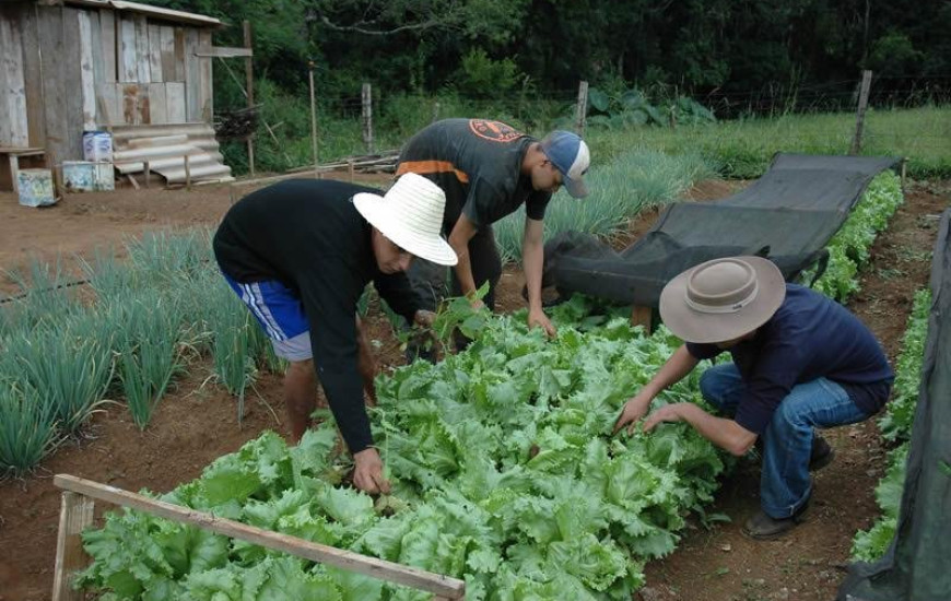 São ofertadas 40 vagas para tratamento