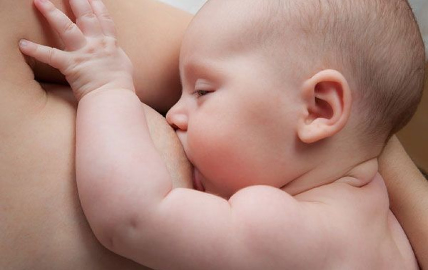 Amamentar é livre e discricionário entre mãe e filho