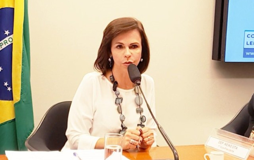 Deputada Dorinha emplaca emendas na LDO