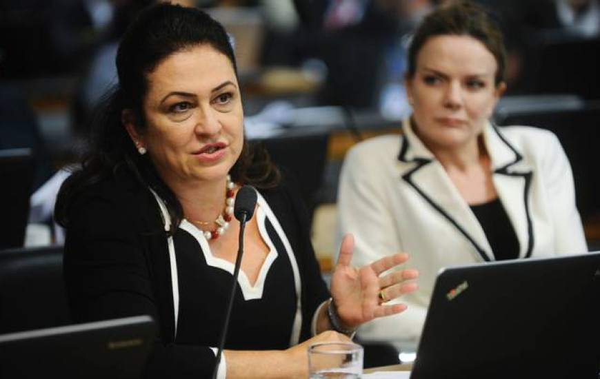 Kátia Abreu sugeriu que governo diminua alíquota de ICMS sobre conta de energia