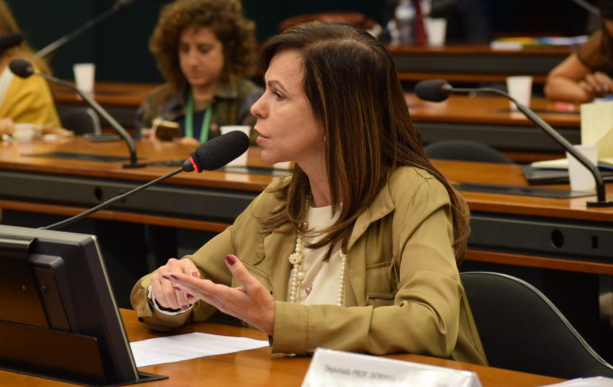 Deputada Federal Professora Dorinha