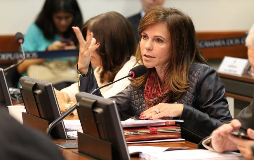 Dorinha comemora aprovação da emenda