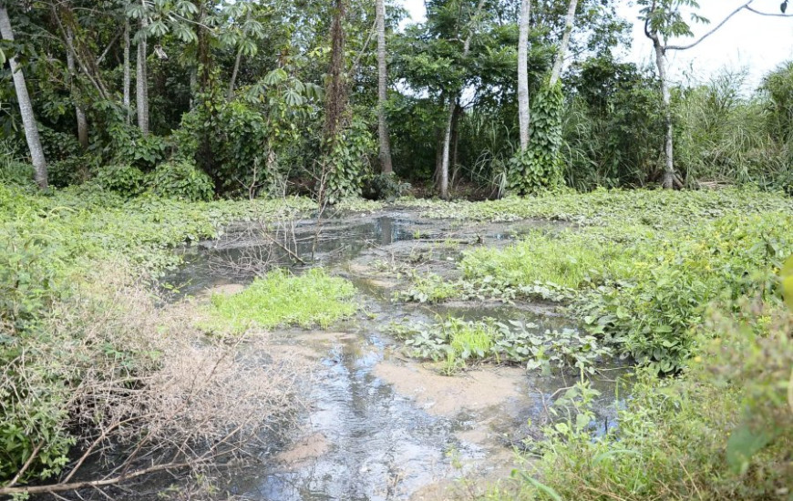 Esgoto escorre da UFT para o lago de Palmas