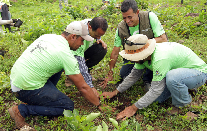 Plantio realizado em janeiro de 2020, antes da pandemia de Covid-19.
