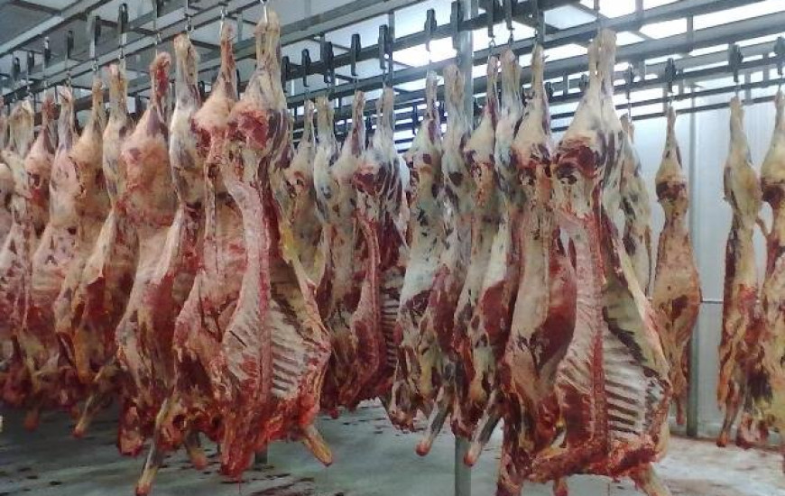 Frigiríficos passam por inspeção