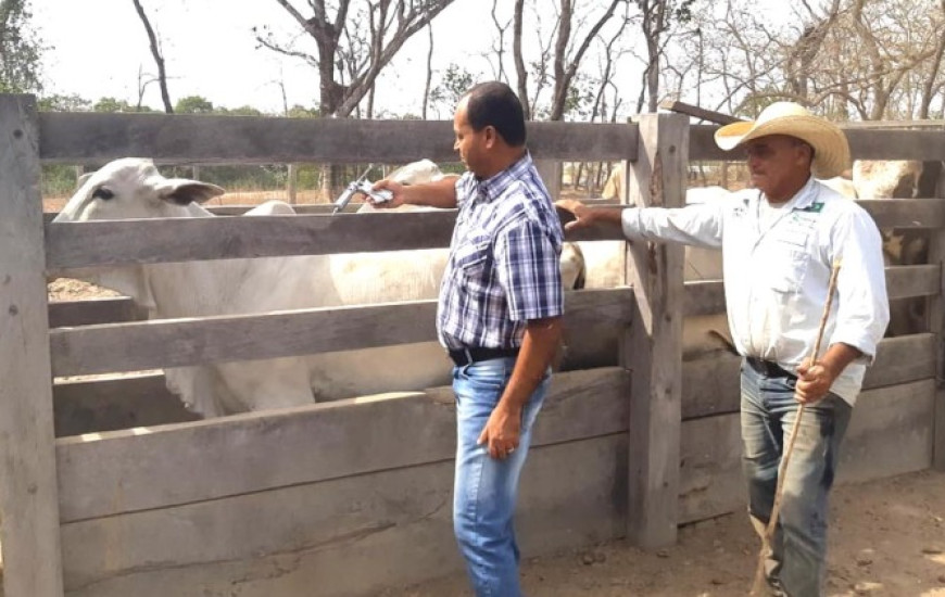 Lançamento foi nesta 2ª, dia 05.