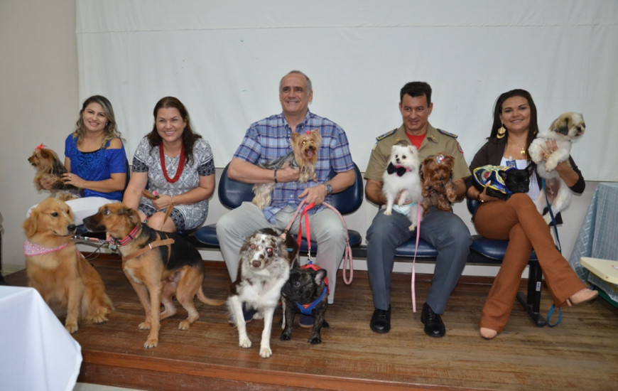 Projeto de terapia com cães completa 1 ano