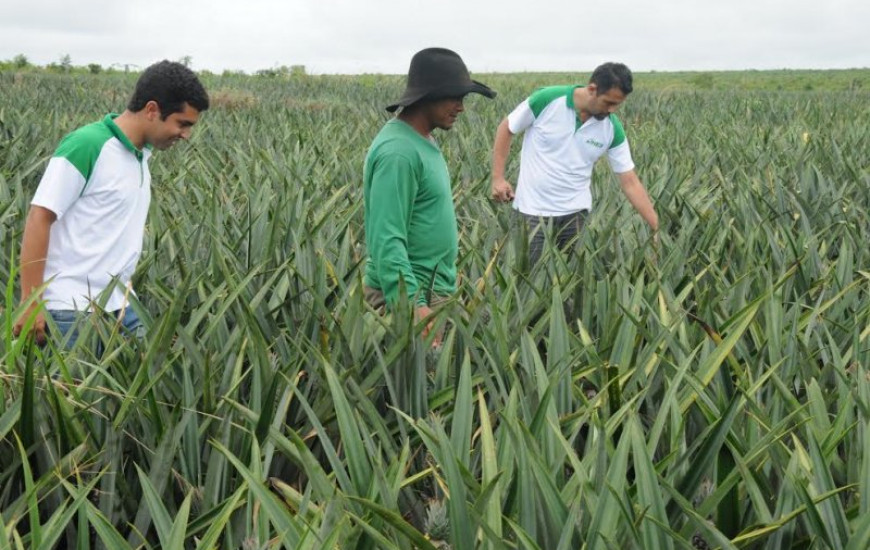 Conferências são realizadas no Tocantins