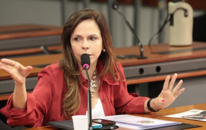 Deputada Dorinha Seabra (DEM)