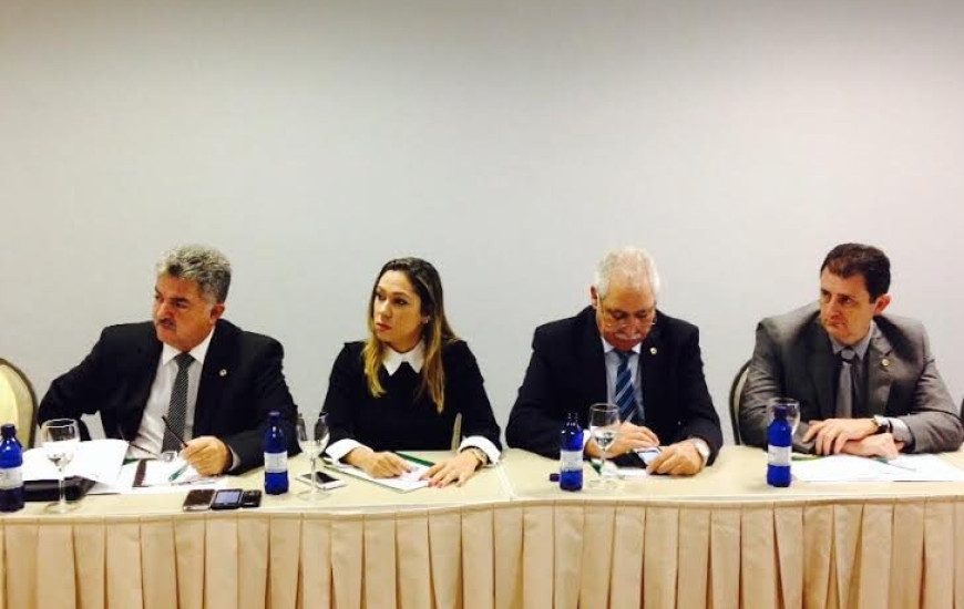 Luana Ribeiro em reunião da Unale