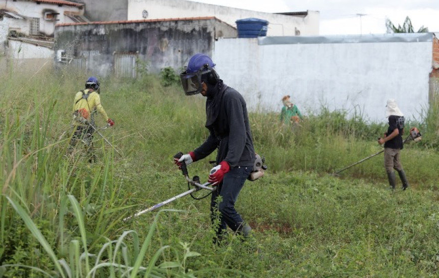 42 lotes particulares na cidade passarão por limpeza