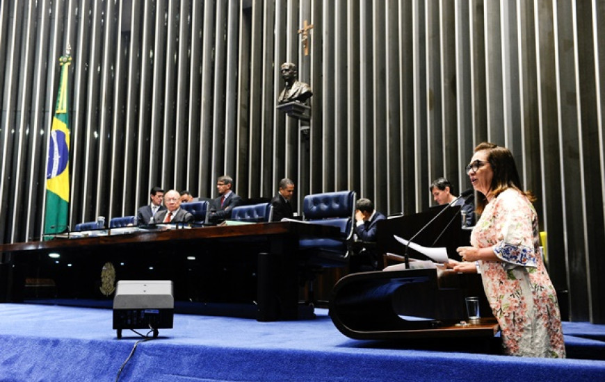 Senadora cobra planejamento nacional para segurança pública 