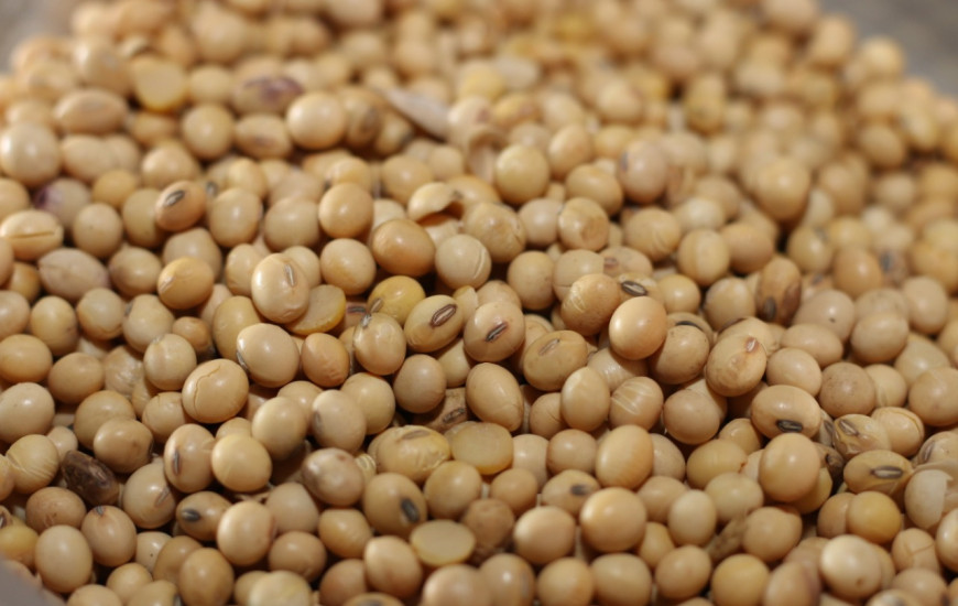 Os númerios foram puxados pela comercialização de soja