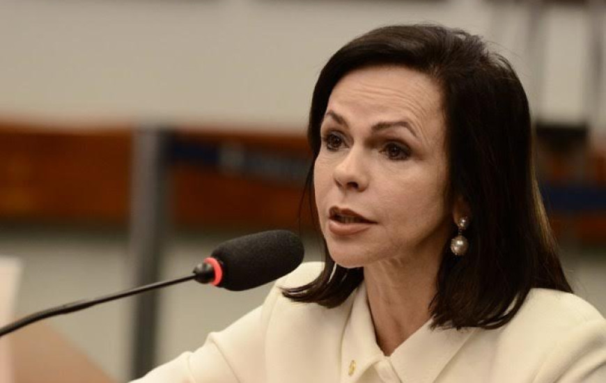 Deputada Professora Dorinha