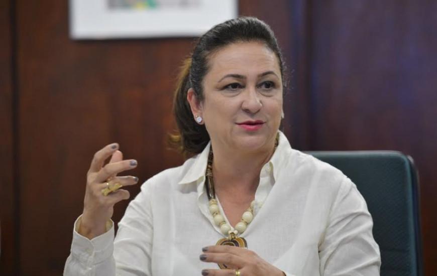 Ministra da Agricultura, Kátia Abreu