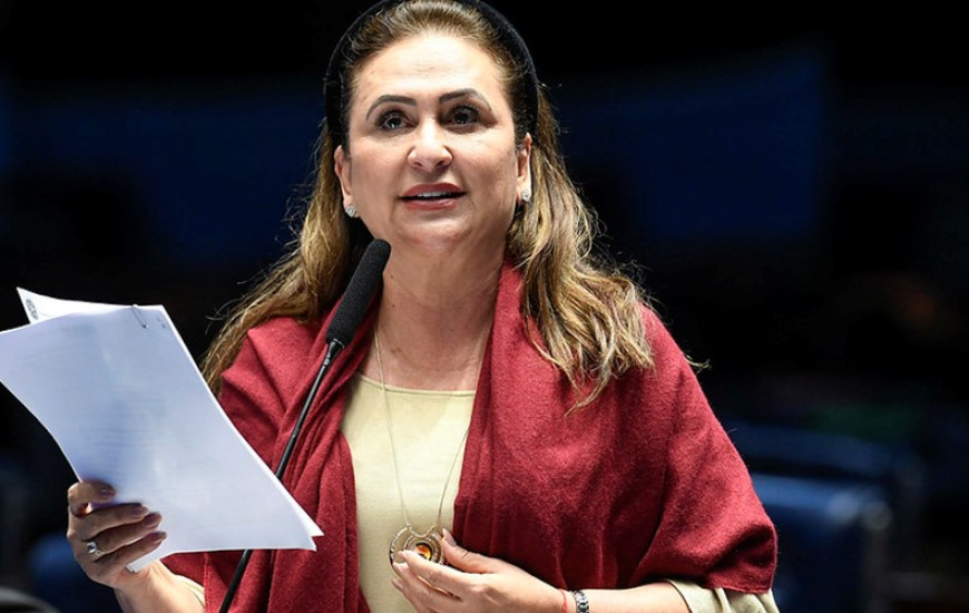 Senadora Kátia Abreu (PP-TO)