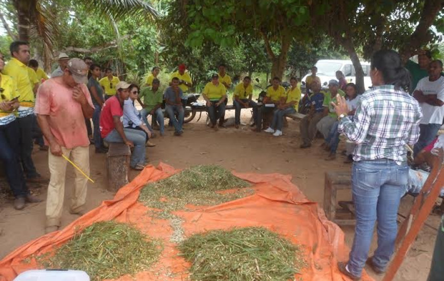 Dia de Campo foi na última 6ª
