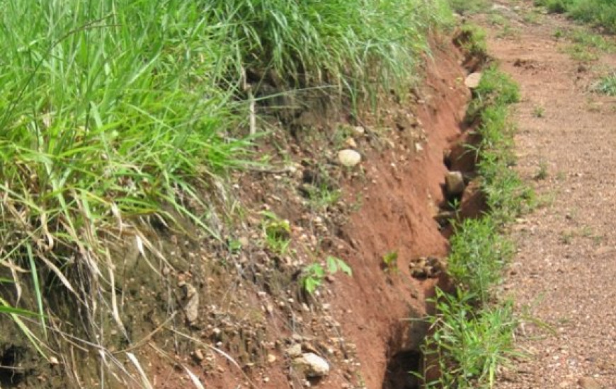 Formação de voroça