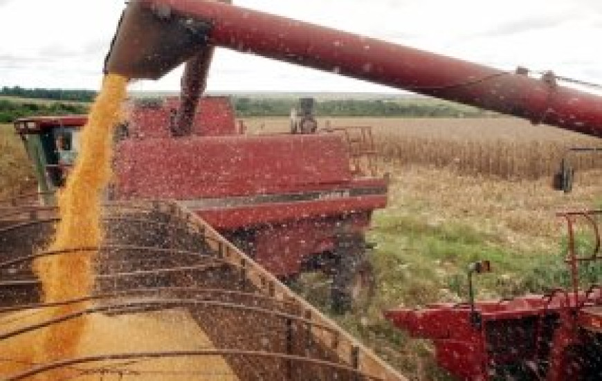 Safra Nacional aumenta