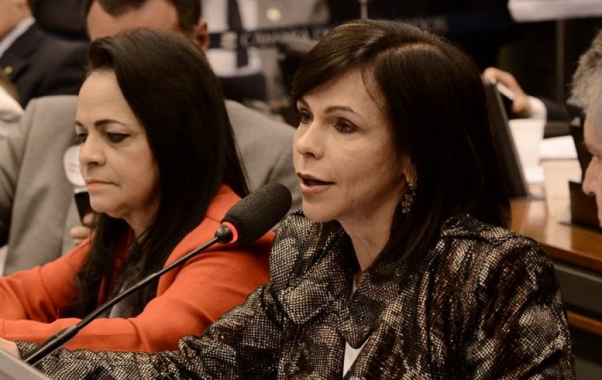 Dorinha foi escolhida para presidir Subcomissão