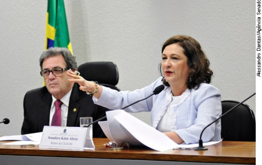 Senadora apresentou relatório