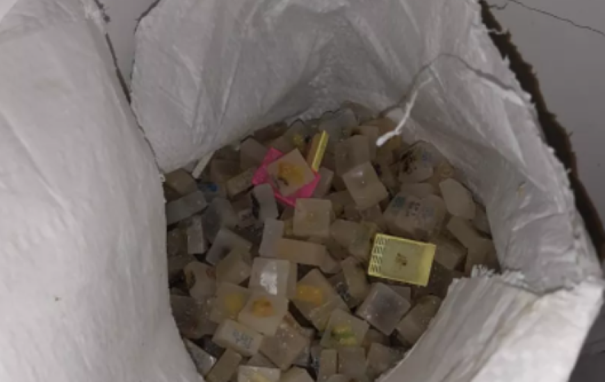 Amostras foram encontradas dentro de sacos.