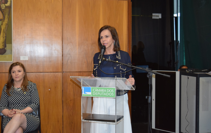 Dorinha afirmou que o preconceito ainda é grande no meio no político